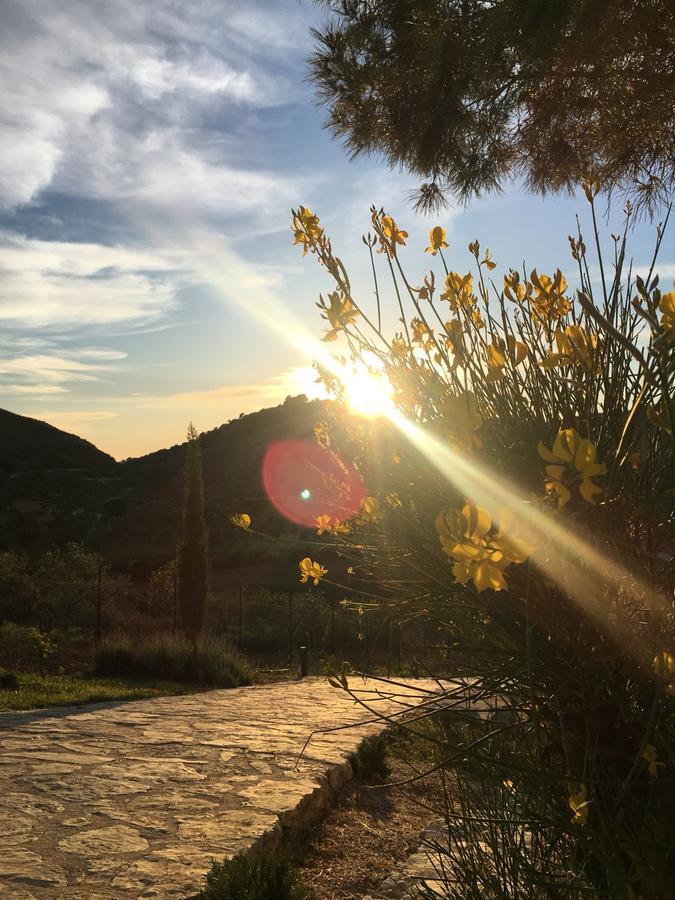 Agriturismo Casebianche 몬탈레그로 외부 사진